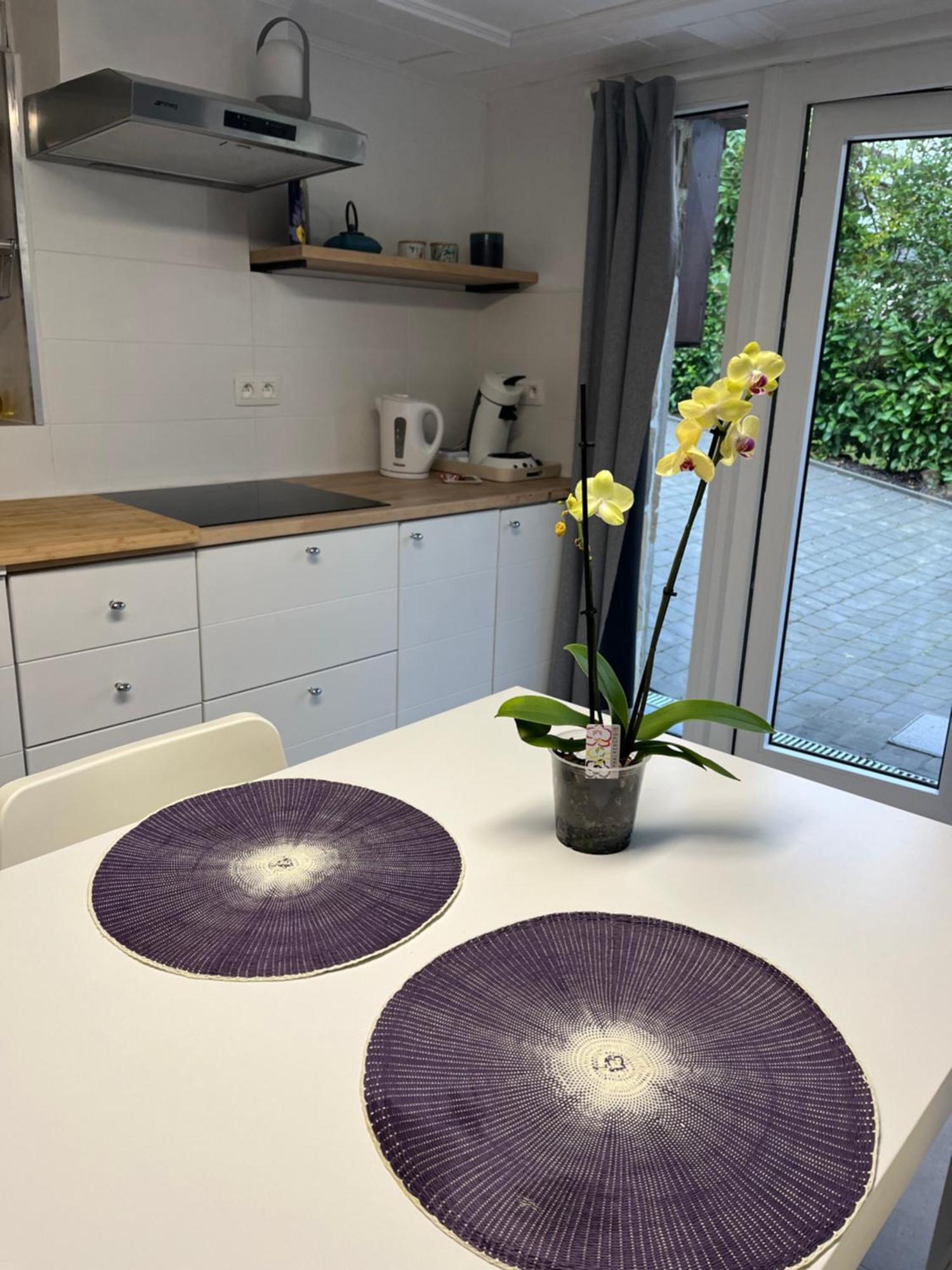 Studio Renove Rdc Terrasse Wepion Namur Exteriér fotografie